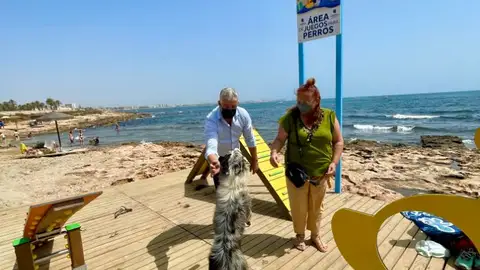 Nuevos juegos y atractivos para las mascotas en la playa canina playa canina