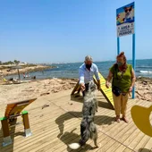 Nuevos juegos y atractivos para las mascotas en la playa canina Nuevos juegos y atractivos para las mascotas en la playa canina