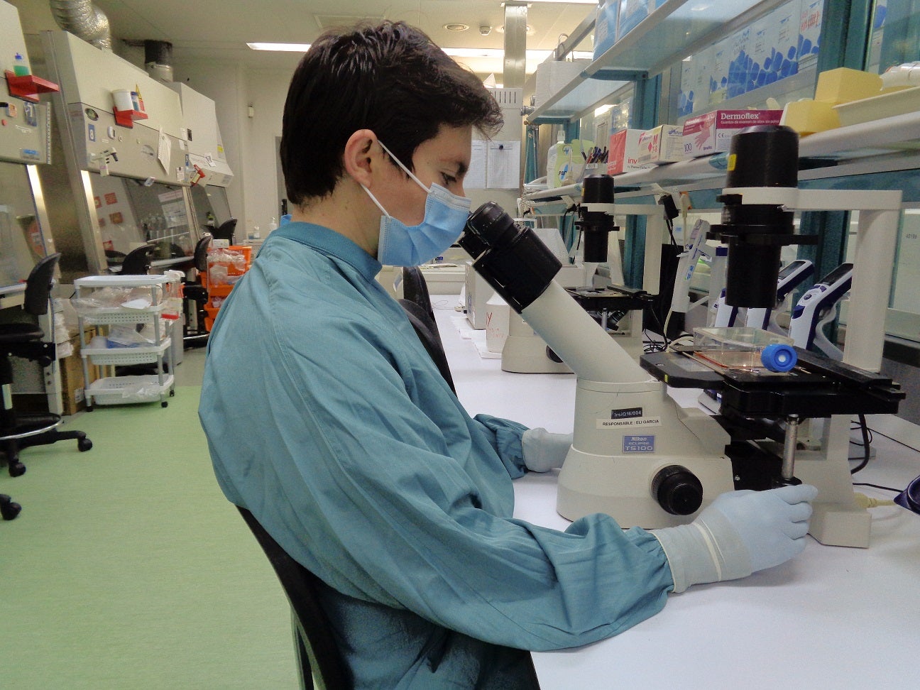 Un estudio demuestra que los anticuerpos por infección de covid se mantienen más de un año Un estudio demuestra que los anticuerpos por infección de covid se mantienen más de un año