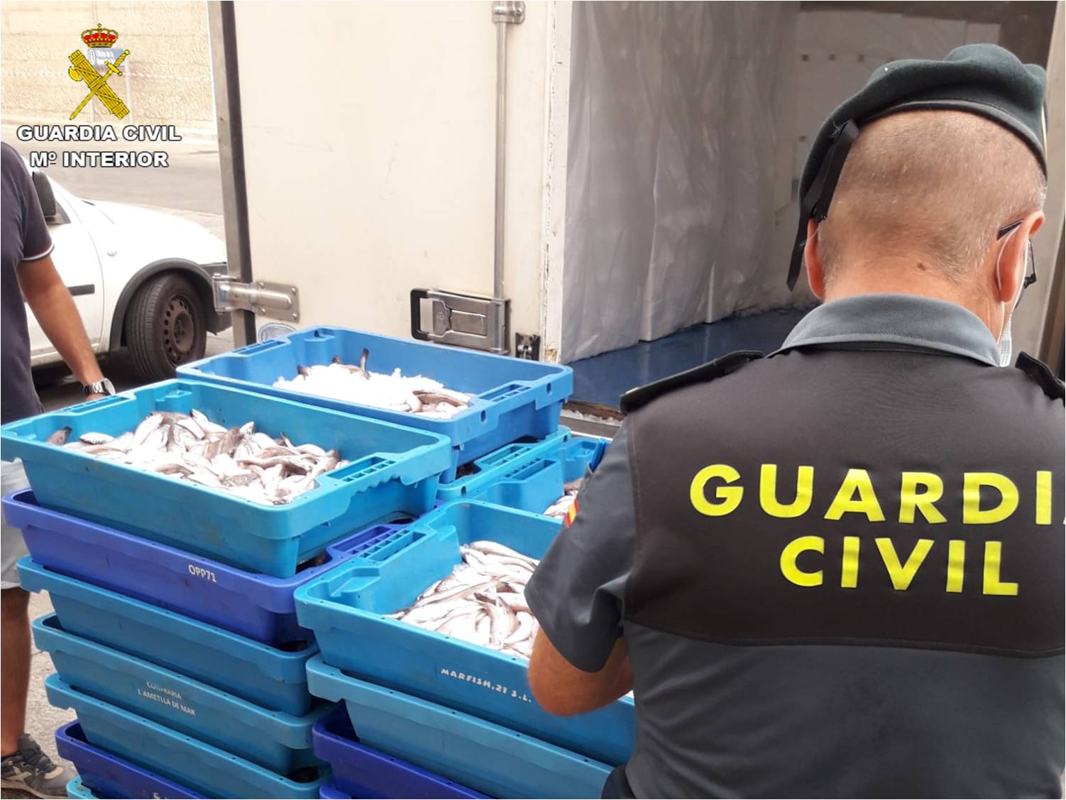 La Guardia Civil interviene 200 kg de pescado ilegal en Altea La Guardia Civil interviene 200 kg de pescado ilegal en Altea