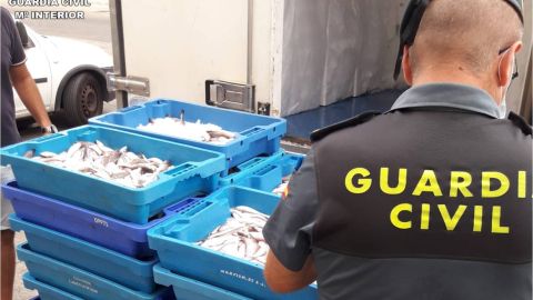 Guardia Civil 