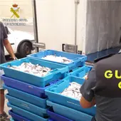 Guardia Civil Guardia Civil