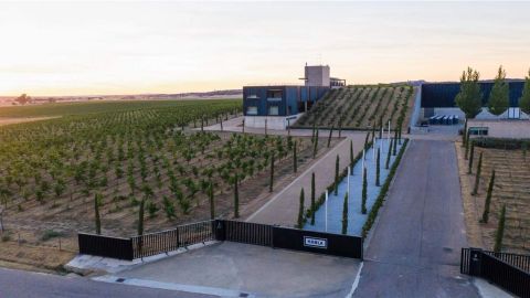 Bodegas Habla del Silencio 