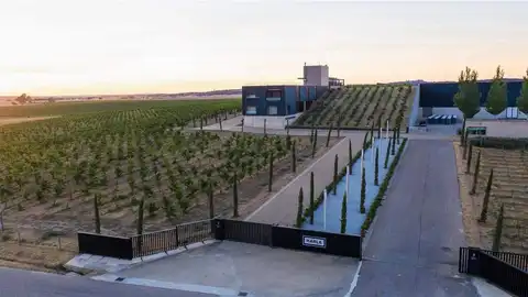 Bodegas Habla del Silencio Bodegas Habla del Silencio