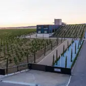 Bodegas Habla del Silencio Bodegas Habla del Silencio