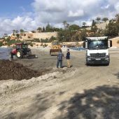 La nueva empresa de recogida de restos de Posidonia comienza a prestar sus servicios en la costa oriolana 