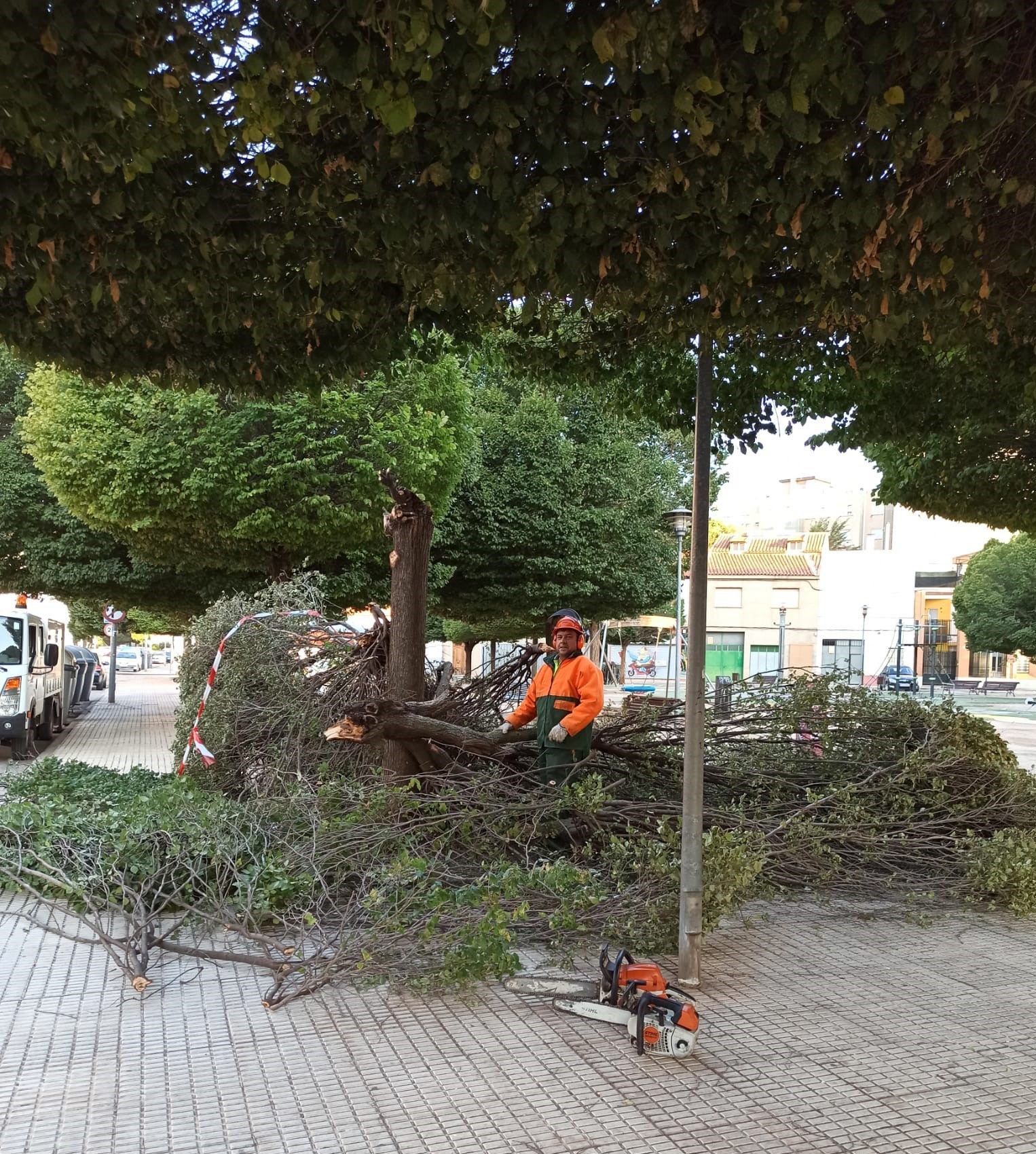 Continúan los trabajos de retirada de ramas y árboles caídos por la tormenta Continúan los trabajos de retirada de ramas y árboles caídos por la tormenta