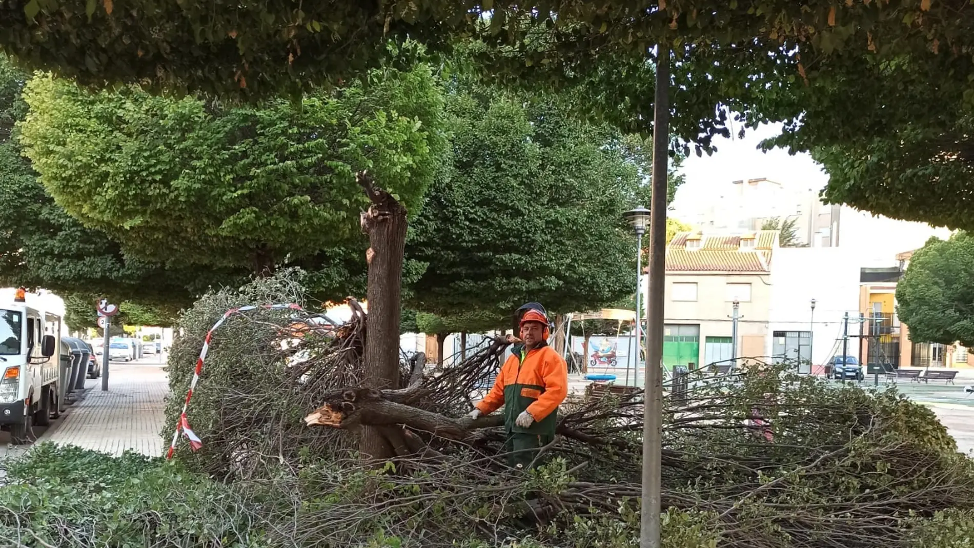 Continúan los trabajos de retirada de ramas y árboles caídos por la tormenta