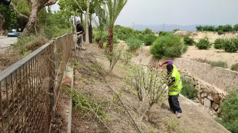 Benejúzar consigue más de 67.000 euros para la contratación de 10 trabajadores en el municipio empleo