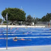 Mas de 300 niñas y niños han disfrutado de los cursos de natación municipales en Torrevieja Mas de 300 niñas y niños han disfrutado de los cursos de natación municipales en Torrevieja