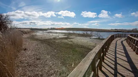 Parque Nacional de las Tablas de Daimiel Parque Nacional de las Tablas de Daimiel