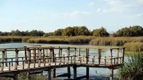 Parque Nacional de las Tablas de Daimiel Parque Nacional de las Tablas de Daimiel