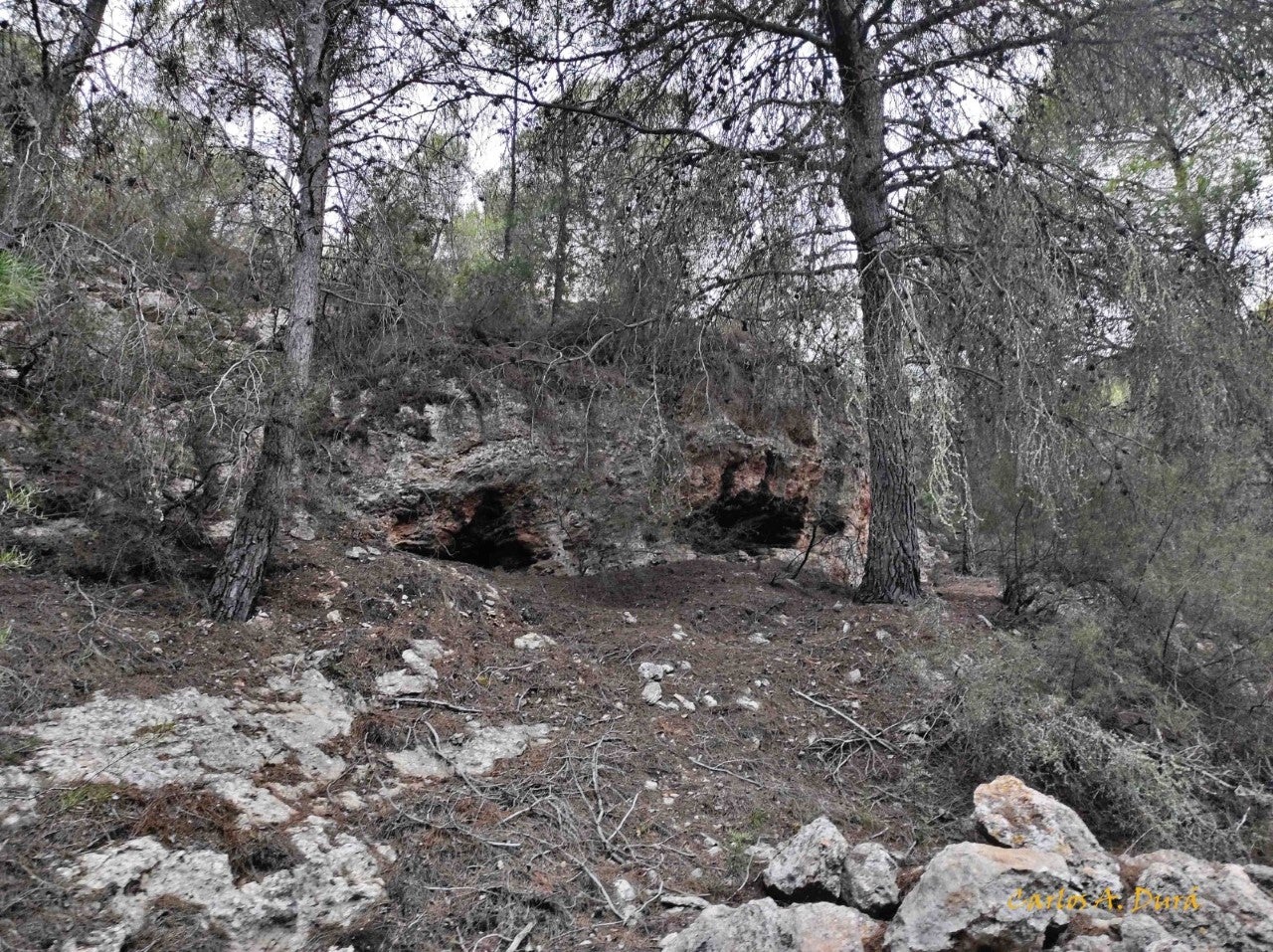 El grupo ecologista TALAIOLA recoge firmas para pedir la eliminación de la caza en la sierra de Santa Pola El grupo ecologista TALAIOLA recoge firmas para pedir la eliminación de la caza en la sierra de Santa Pola