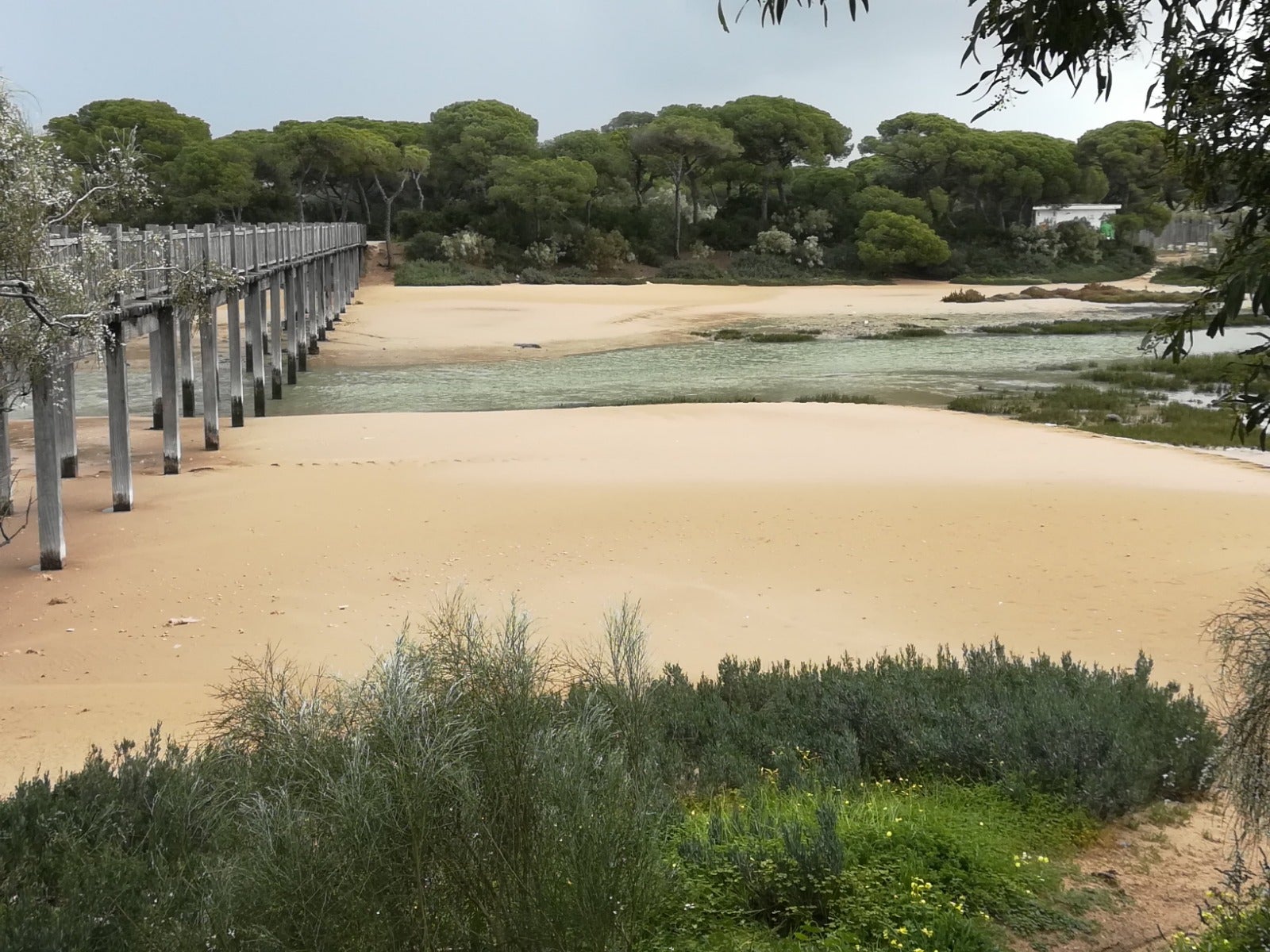 "El Río San Pedro debe ser protagonista en el Bicentenario de la Batalla del Trocadero" "El Río San Pedro debe ser protagonista en el Bicentenario de la Batalla del Trocadero"