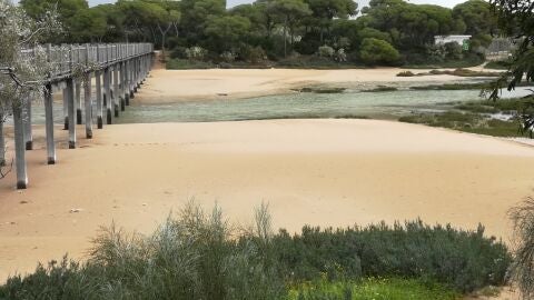 Ca&ntilde;o del Trocadero en Puerto Real