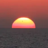 Amanecer Amanecer