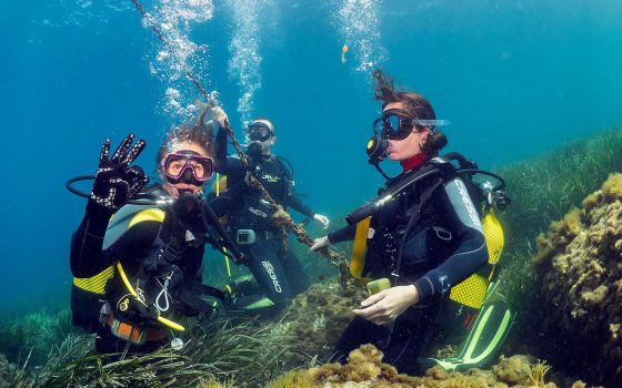 ESPECIAL TURISMO, OCIO Y TIEMPO LIBRE: Centros de Buceo "Rivemar" y "Mangamar" ESPECIAL TURISMO, OCIO Y TIEMPO LIBRE: Centros de Buceo "Rivemar" y "Mangamar"