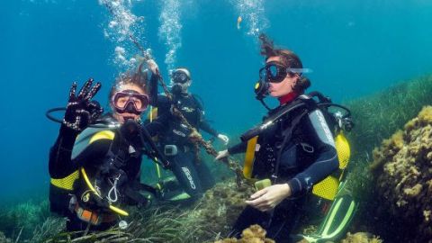 buceo cartagena