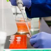 Coronavirus Coronavirus