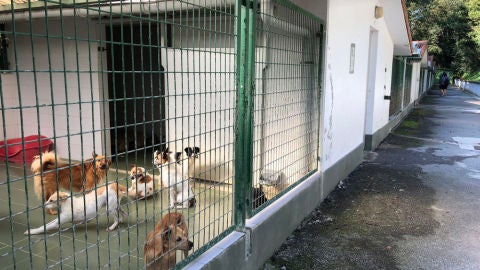 Sociedad protectora de Gipuzkoa