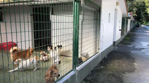 Sociedad protectora de Gipuzkoa Sociedad protectora de Gipuzkoa