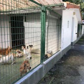Sociedad protectora de Gipuzkoa
