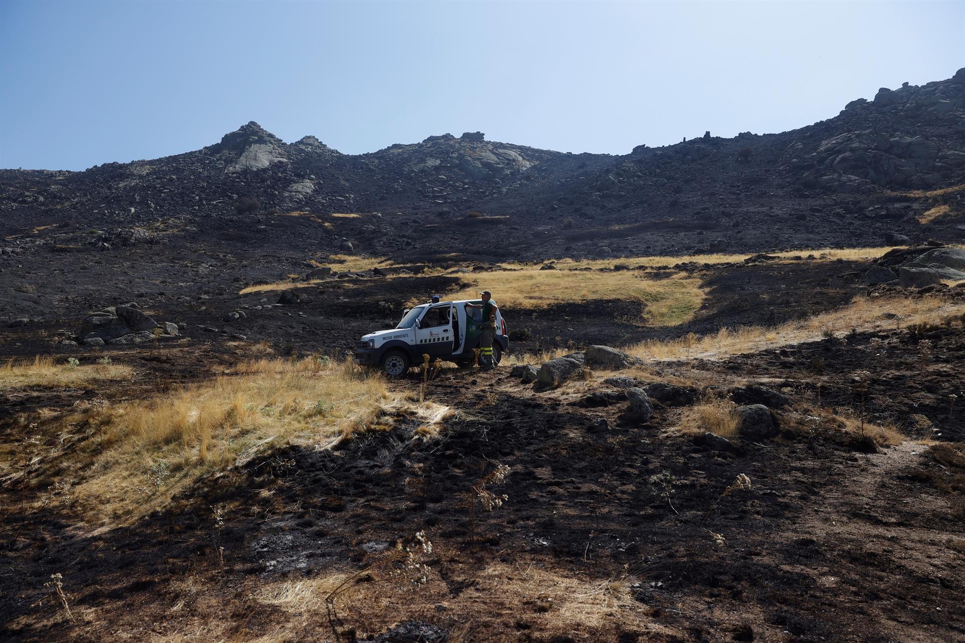 Castilla y León pide la declaración de Zona Catastrófica por el fuego de Navalacruz Castilla y León pide la declaración de Zona Catastrófica por el fuego de Navalacruz