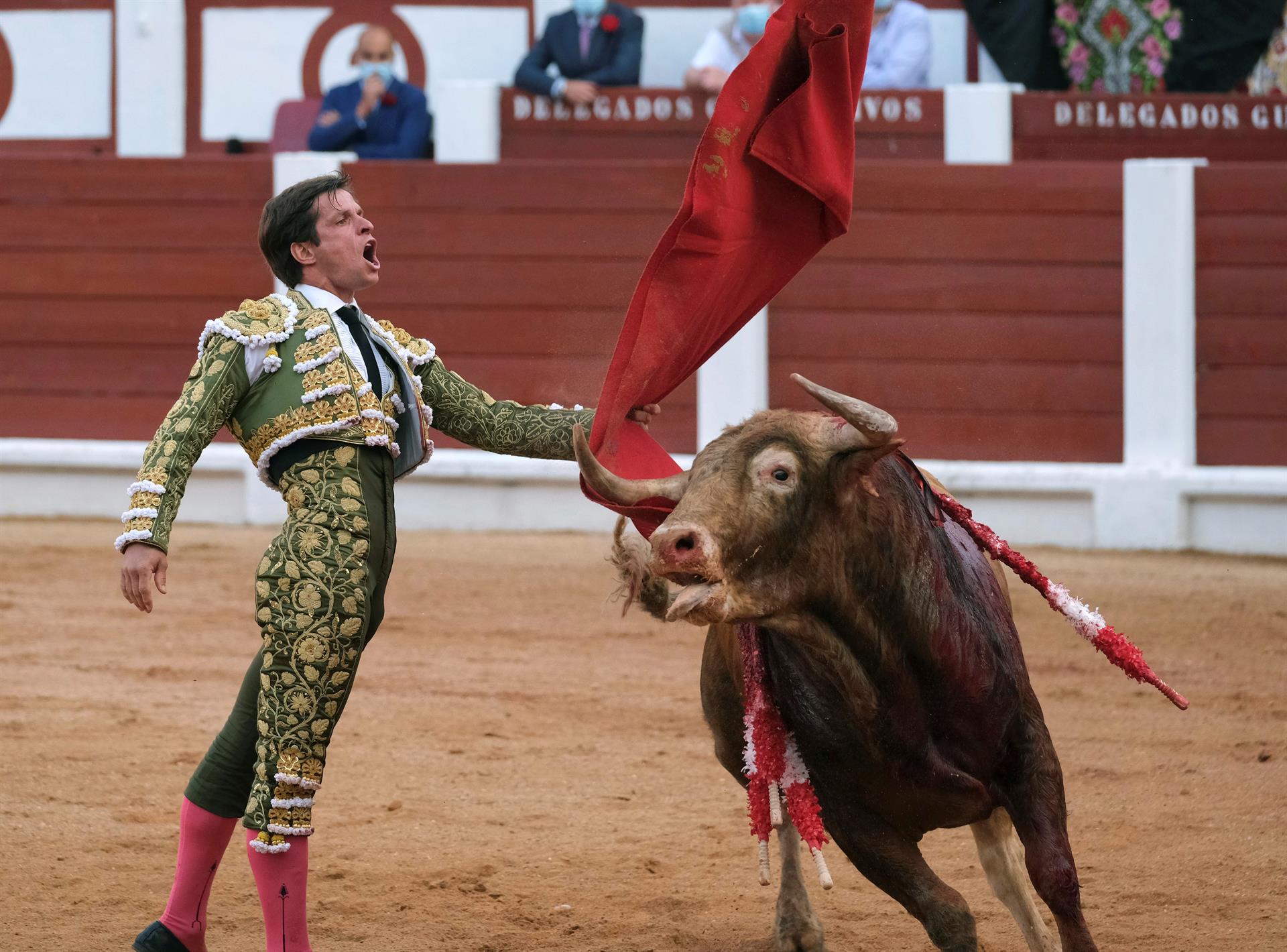 El Juli llama inculta a la alcaldesa de Gijón y pide "respeto por la tauromaquia" El Juli llama inculta a la alcaldesa de Gijón y pide "respeto por la tauromaquia"