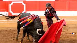 Rubén Amón indulta a la alcaldesa de Gijón: "Aquí no hablamos de toros, sino de libertades" Rubén Amón indulta a la alcaldesa de Gijón: "Aquí no hablamos de toros, sino de libertades"