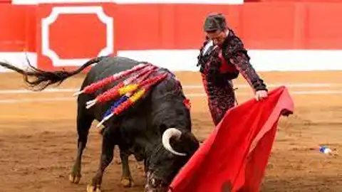 La Unión de Criadores de Toro de Lidia anuncia acciones legales contra la alcaldesa de Gijón La Unión de Criadores de Toro de Lidia anuncia acciones legales contra la alcaldesa de Gijón