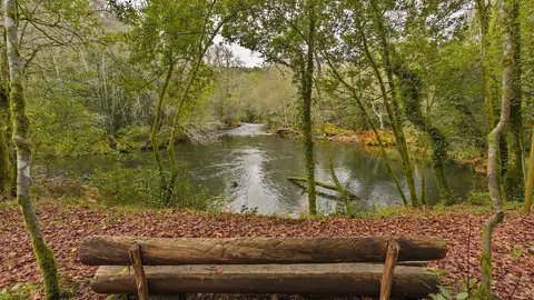 Concello de Cuntis Mas de Uno Pontevedra
