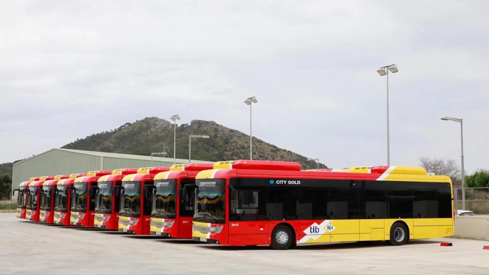 Autobuses TIB