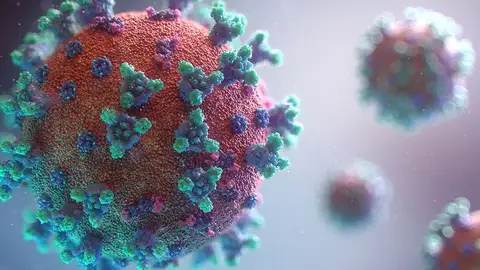 Coronavirus Euskadi Coronavirus Euskadi