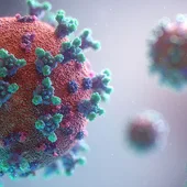 Coronavirus Euskadi Coronavirus Euskadi