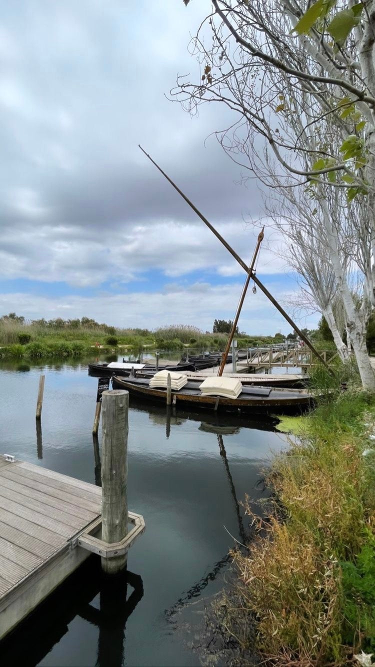 Visitamos los mejores lugares de Catarroja con Jorge Monleón Visitamos los mejores lugares de Catarroja con Jorge Monleón