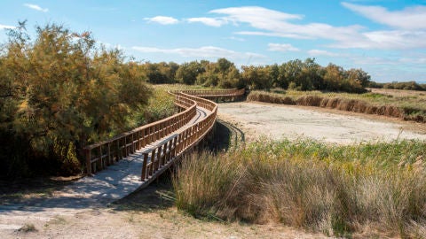 El parque de las Tablas de Daimiel está prácticamente seco