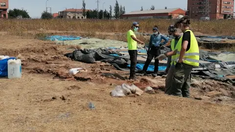 Una decena de voluntarios de Aguilar participan en la nueva campaña de excavación de ‘Huerta Varona" Montaña Palentina