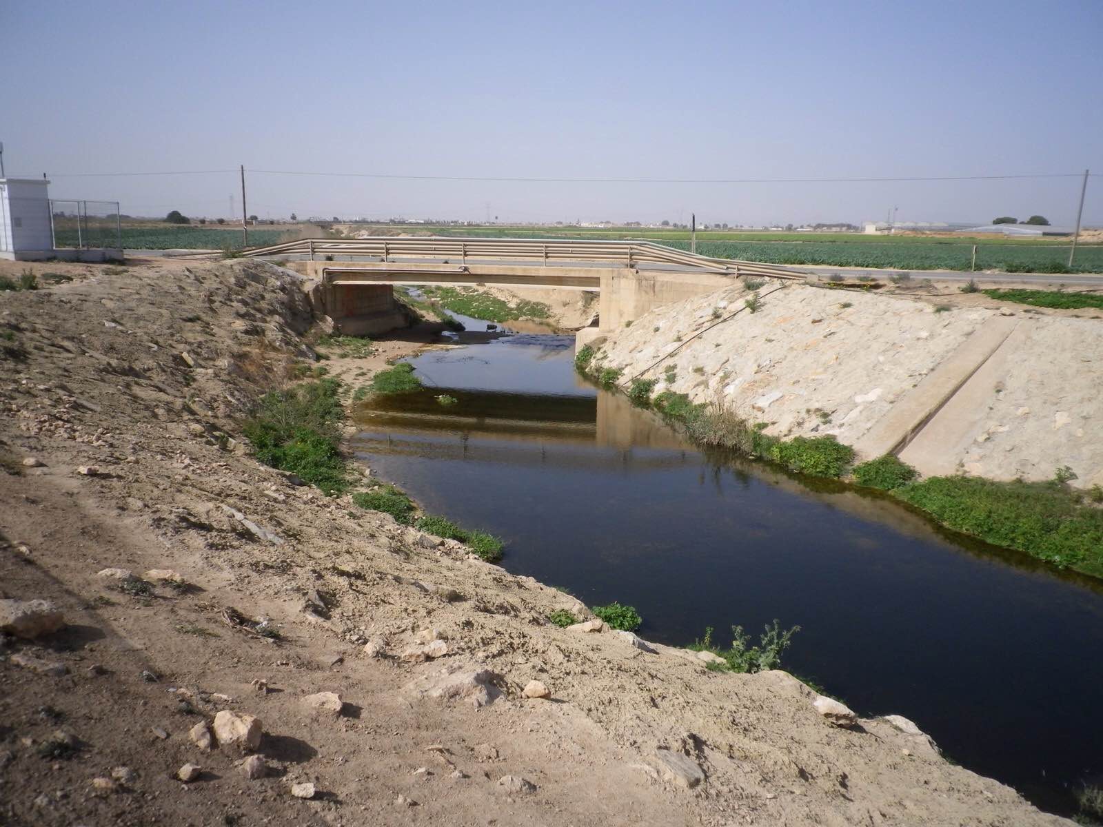 López Miras invita a la ministra Ribera, que visita este miércoles el Mar Menor, a que se desplace a la Rambla del Albujón López Miras invita a la ministra Ribera, que visita este miércoles el Mar Menor, a que se desplace a la Rambla del Albujón