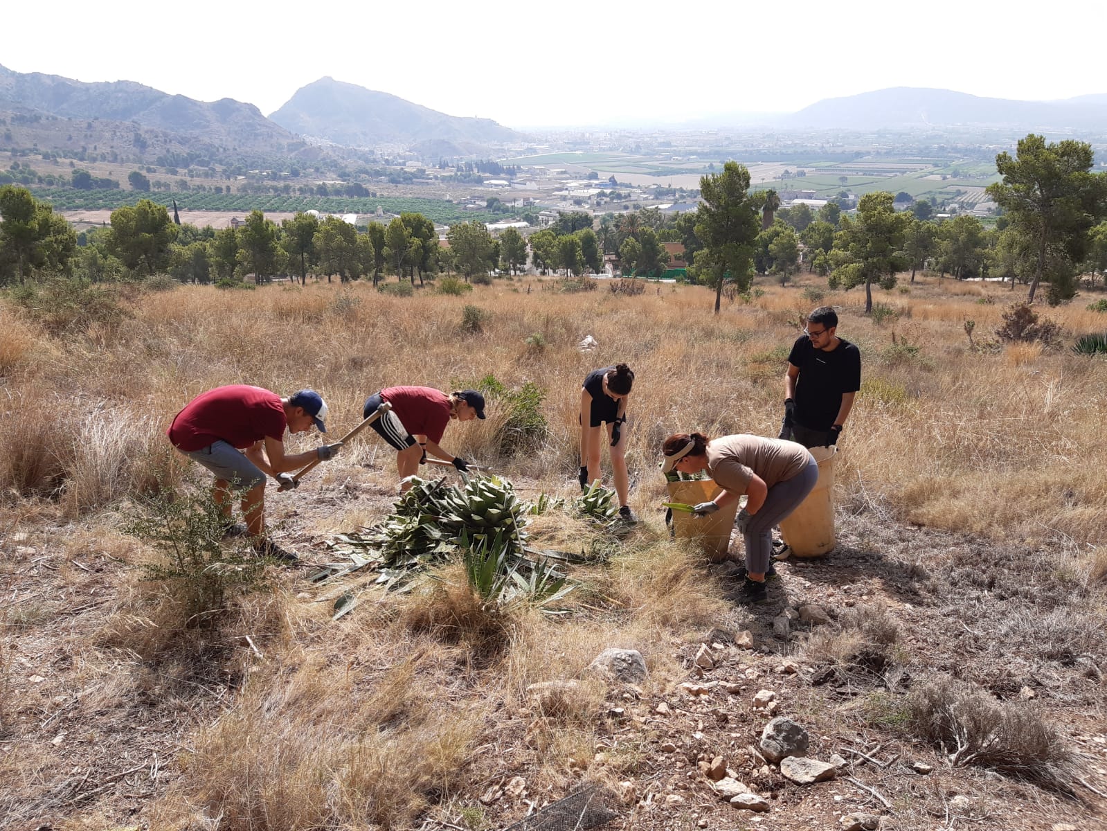 I Programa de Voluntariado Ambiental para la Prevención de Incendios Forestales en Orihuela I Programa de Voluntariado Ambiental para la Prevención de Incendios Forestales en Orihuela