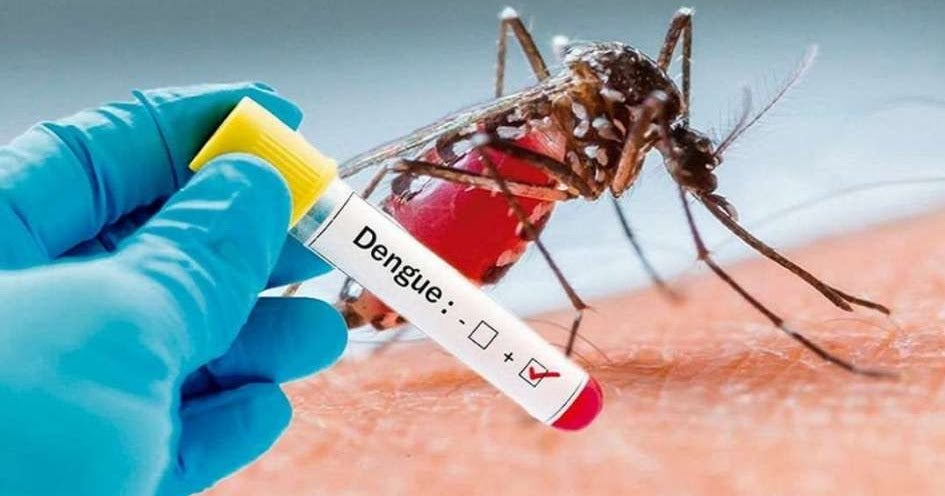 Una enfermedad que se transmite por la picadura de mosquitos infectados, y que no se transmite entre personas Una enfermedad que se transmite por la picadura de mosquitos infectados, y que no se transmite entre personas