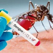 Una enfermedad que se transmite por la picadura de mosquitos infectados, y que no se transmite entre personas Una enfermedad que se transmite por la picadura de mosquitos infectados, y que no se transmite entre personas