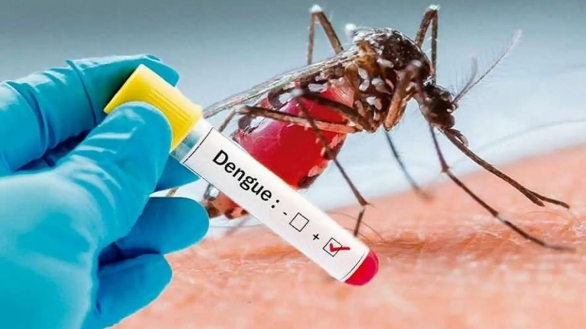 Una enfermedad que se transmite por la picadura de mosquitos infectados, y que no se transmite entre personas 