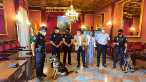Unidad Canina Ayuntamiento Granada