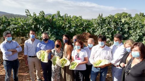 Acto simbólico del corte del primer racima de uva de mesa embolsada del Vinalopó en 2021. Acto simbólico del corte del primer racima de uva de mesa embolsada del Vinalopó en 2021.