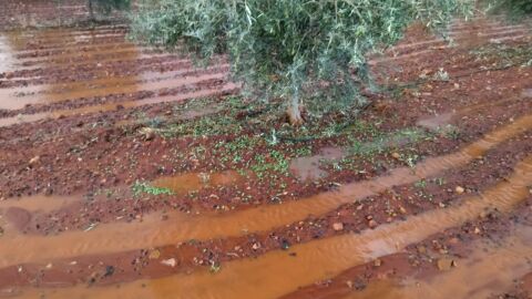 Da&ntilde;os producidos por las tormentas