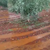 Daños producidos por las tormentas Daños producidos por las tormentas
