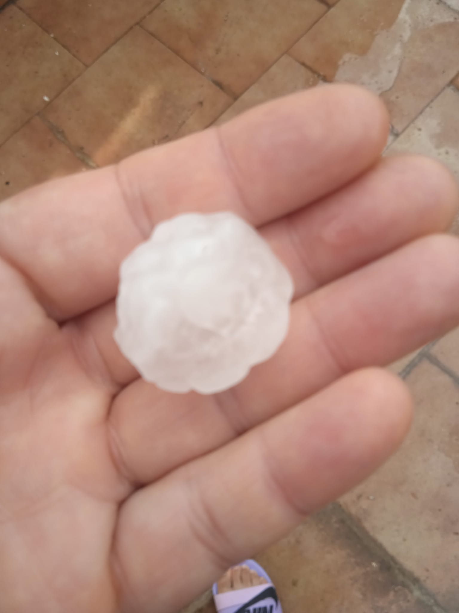 Las tormentas de agua y piedra perjudican a la vendimia en la provincia Las tormentas de agua y piedra perjudican a la vendimia en la provincia