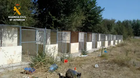 Detenidas dos personas por la muerte y maltrato de los perros de la residencia de El Álamo Detenidas dos personas por la muerte y maltrato de los perros de la residencia de El Álamo