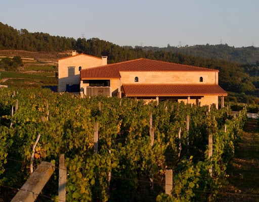 Os danos da saraiva no Ribeiro Os danos da saraiva no Ribeiro