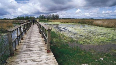 Tablas de Daimiel